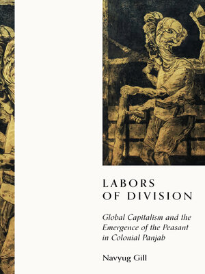 cover image of Labors of Division